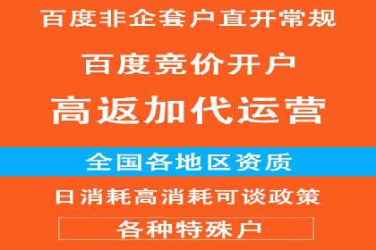 信息流广告投放公司案例深度剖析
